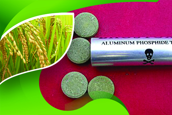 قرص برنج برای نگهداری برنج